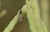 334564 – Photo : Maxime Zucca – France (26)